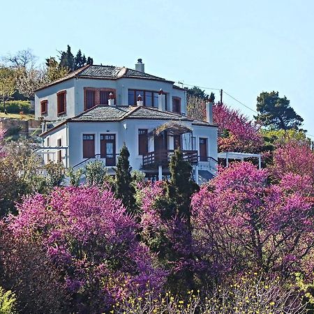 Stolios Apartment Bandar Skopelos Luaran gambar