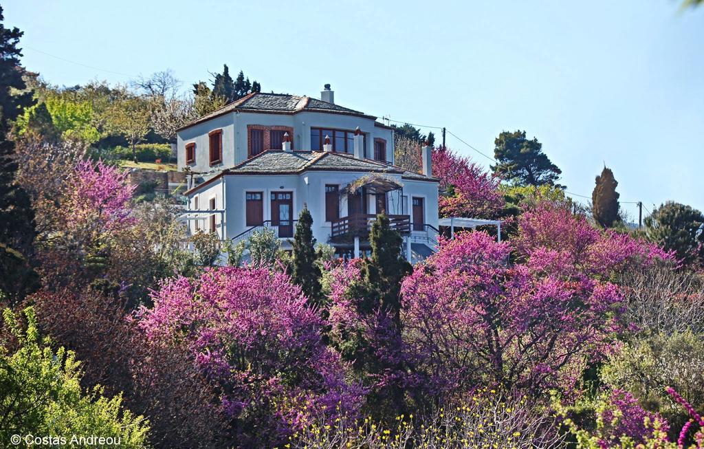 Stolios Apartment Bandar Skopelos Luaran gambar